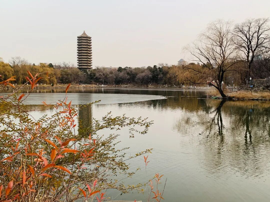 雄远动态｜学有所思 学有所得一一我所叶秀雄律师参加“北京大学法学院-第九期广州律协律所主任、管理合伙人领导力研修班”并顺利结业