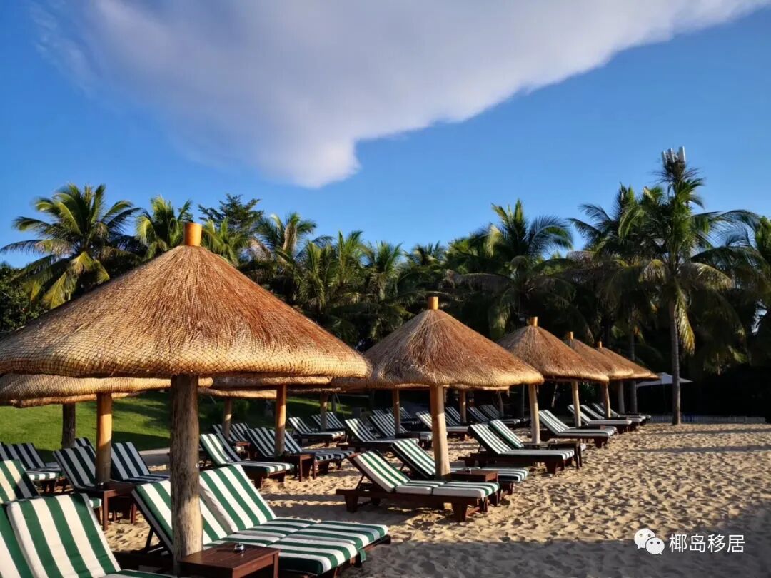 海南高考考985容易嗎_海南的高考難度_海南高考好考么