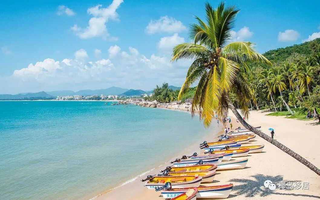 海南的高考難度_海南高考考985容易嗎_海南高考好考么