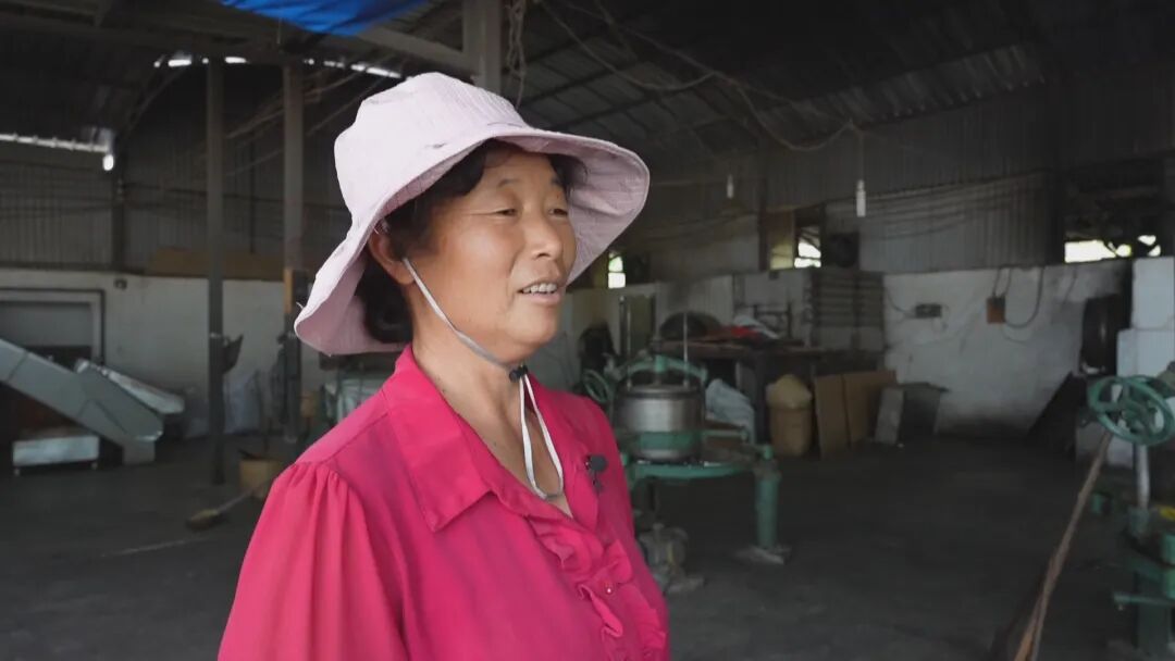 乡村振兴茶叶_乡村振兴富农让人愿意回_