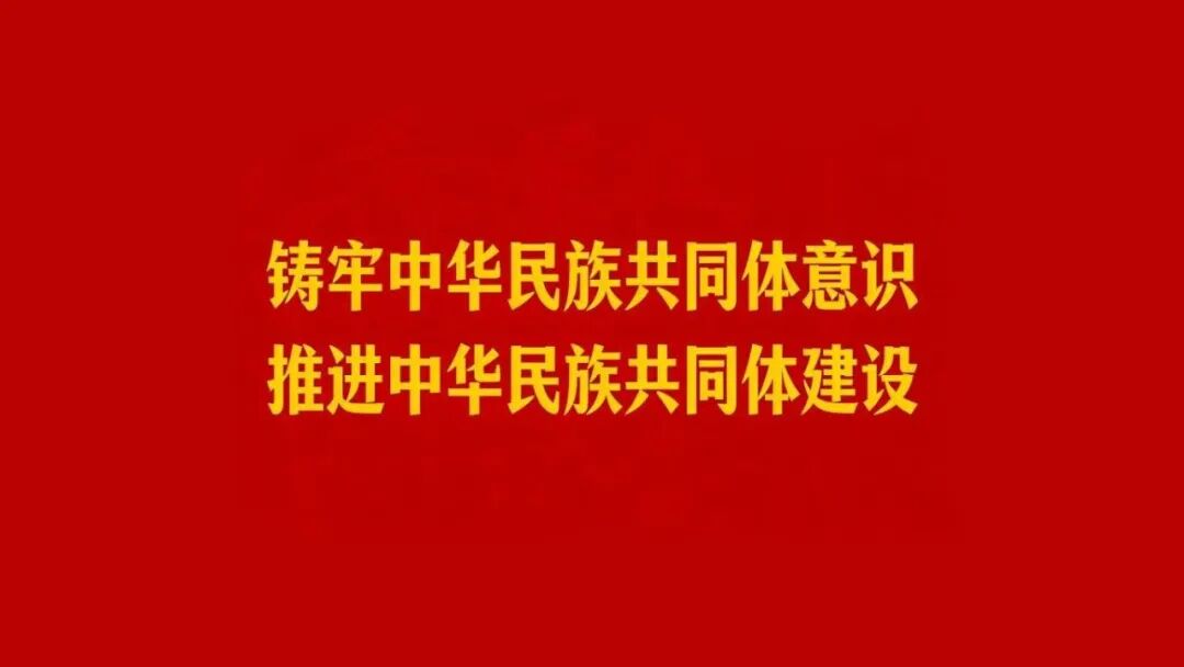 双向奔赴歌曲__双向奔赴陈梦嘉歌词