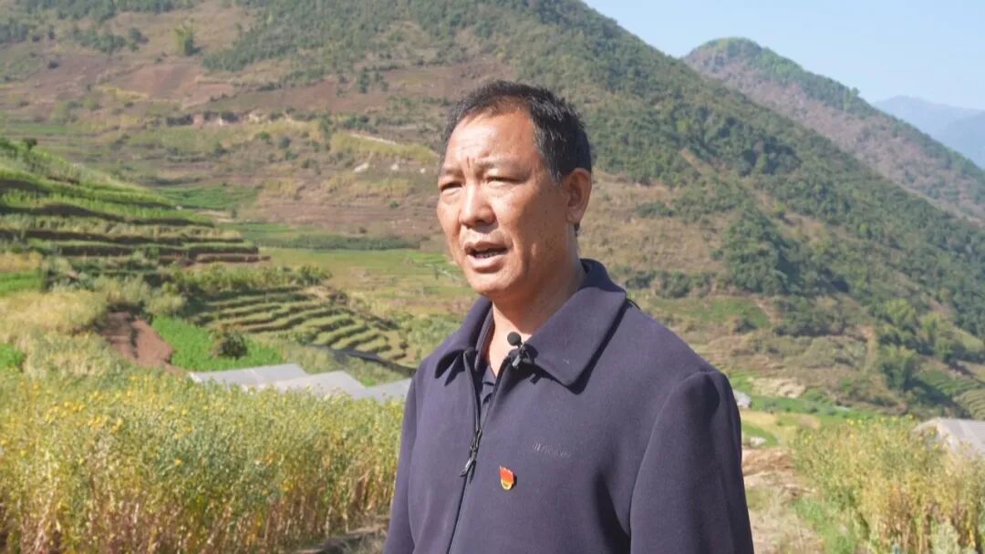 _乡村振兴美丽宜居_乡村振兴与美好人居