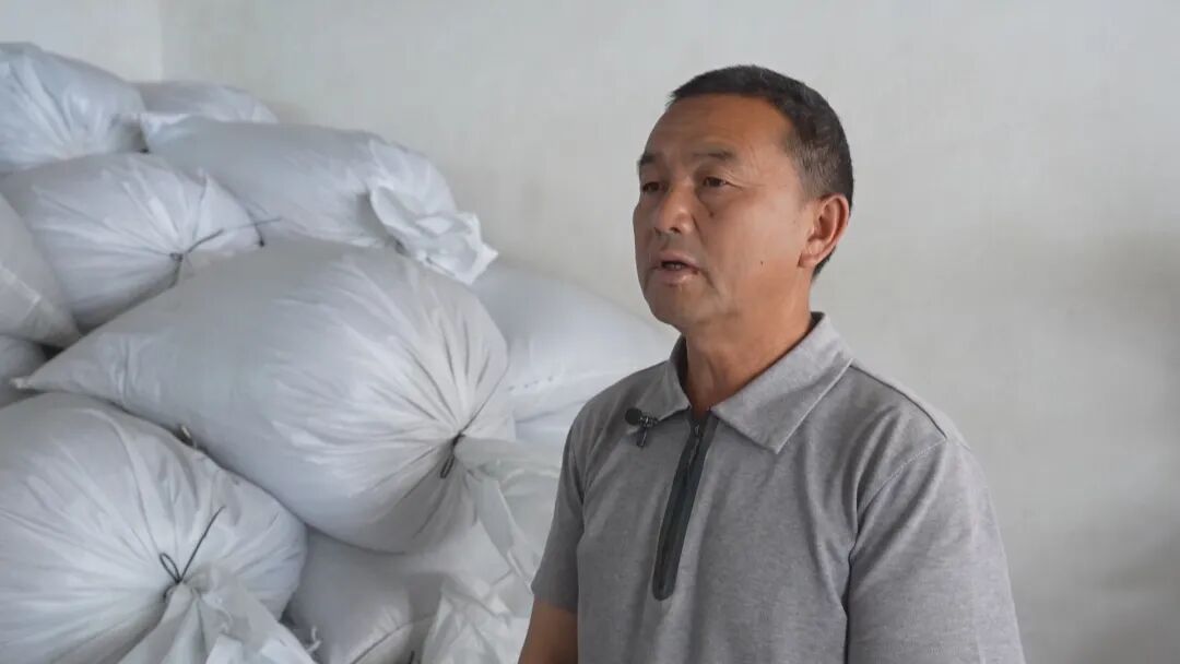 乡村振兴富农让人愿意回__乡村振兴茶叶