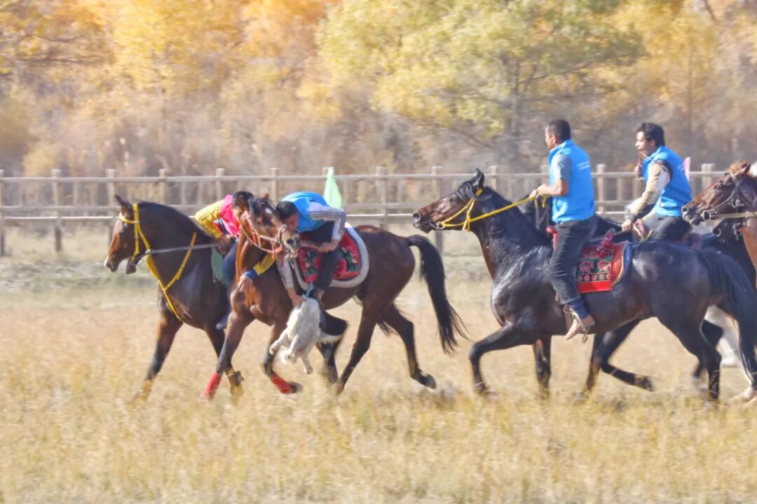 《林中叼羊》谭  林