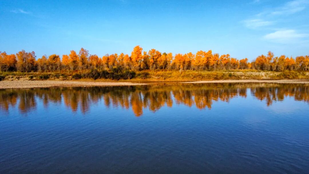 《水天一色》谭  林