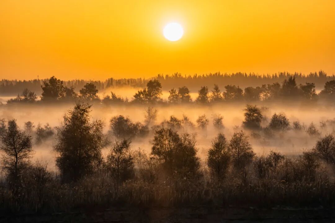 《日  暮》倪时辉