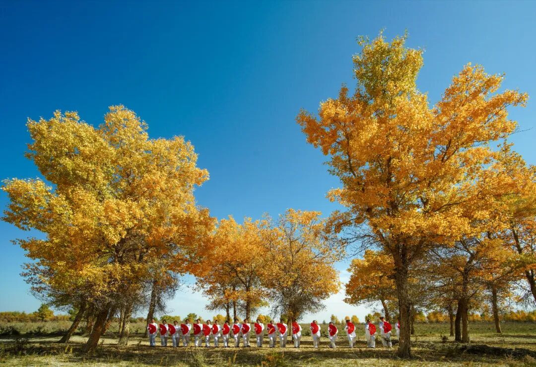 《缤纷太极扇》赵建国