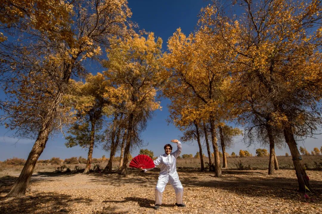 《扇舞翩翩》高  嵩