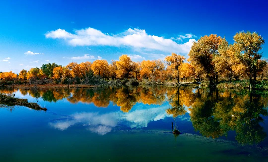 艺术赏析摄影师如何捕捉喀什的美二