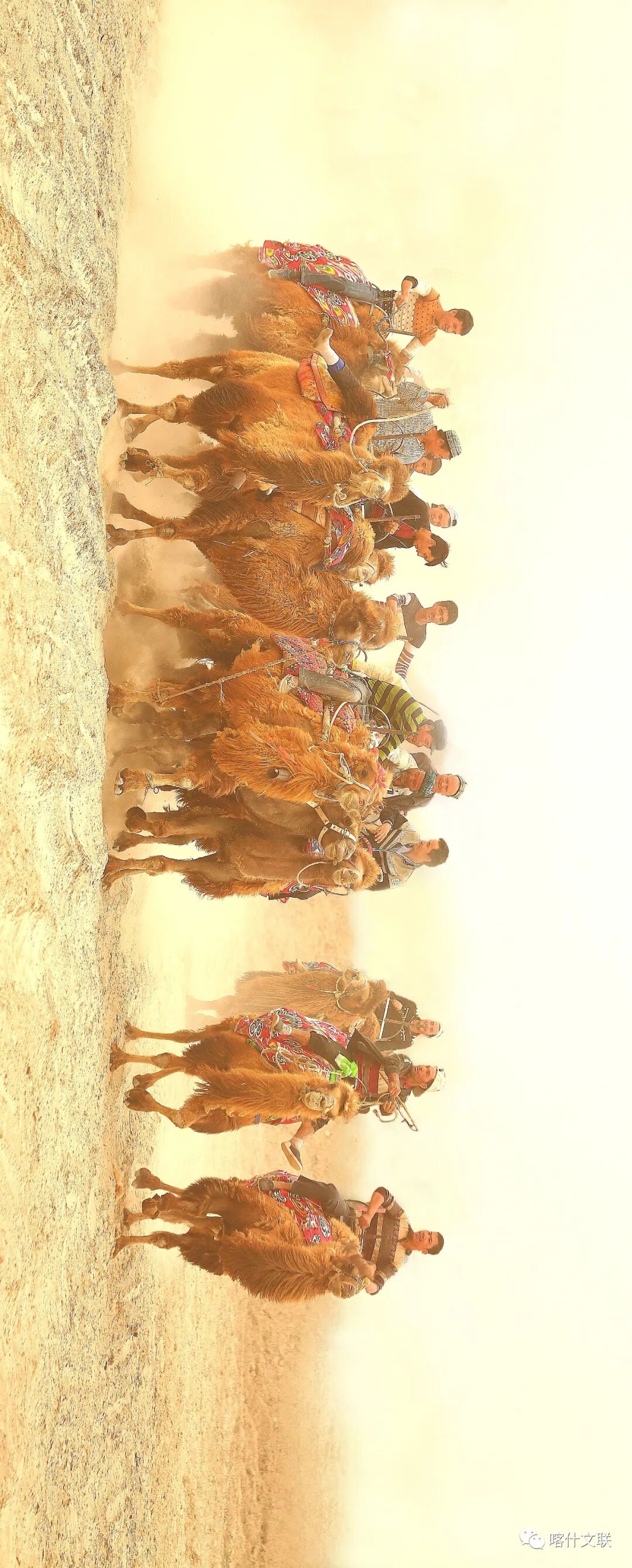 《叼羊比赛之二》