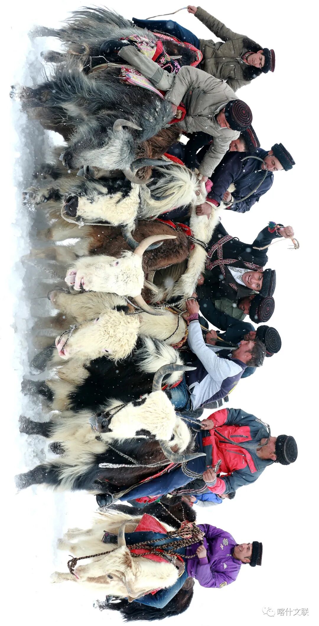 《叼羊比赛之一》