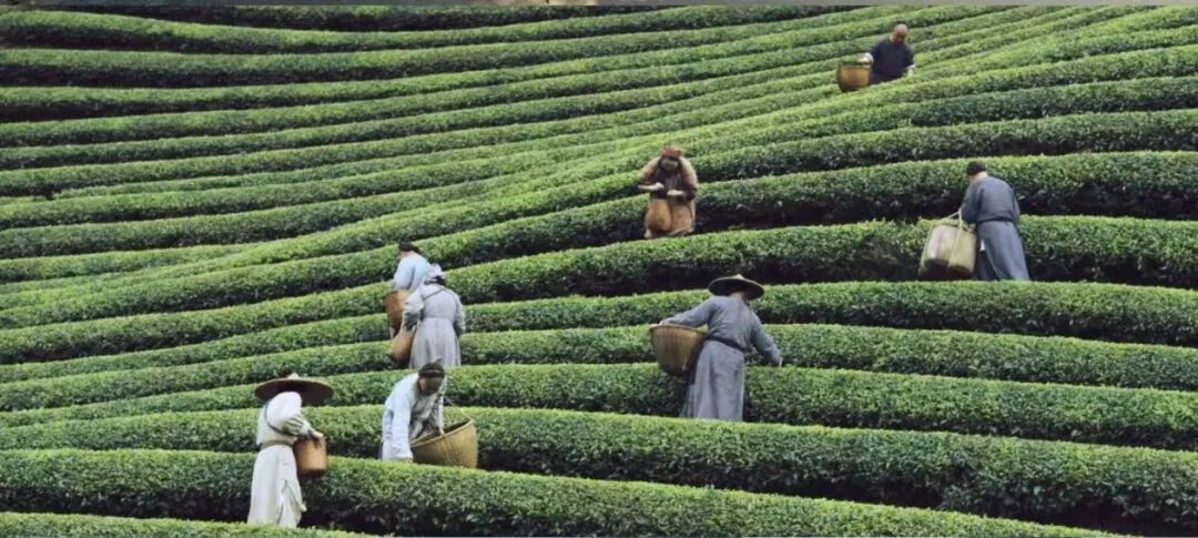 电视剧《大生意人》剧照
