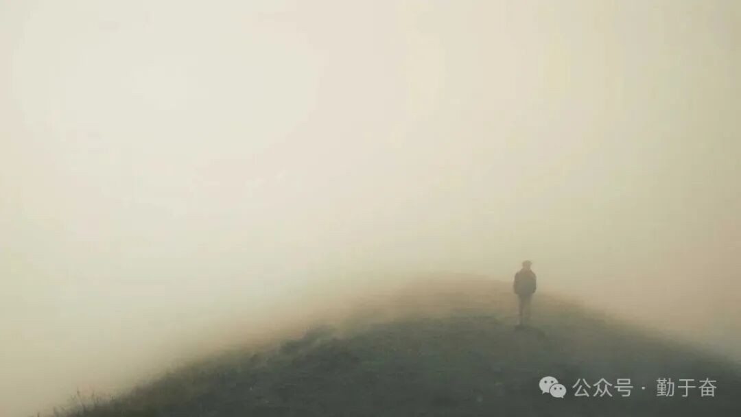 站长圈趋势分享