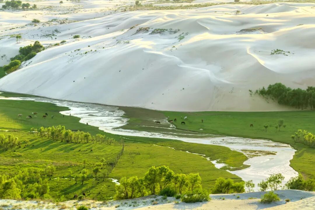 2026翁牛特旗地质公园-旅游攻略-门票-地址-问答-游记点评，翁牛特旗旅游旅游景点推荐-去哪儿攻略