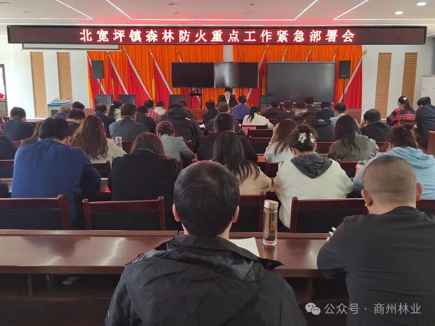 a6539b91c1e3a65bc83dedacf919010