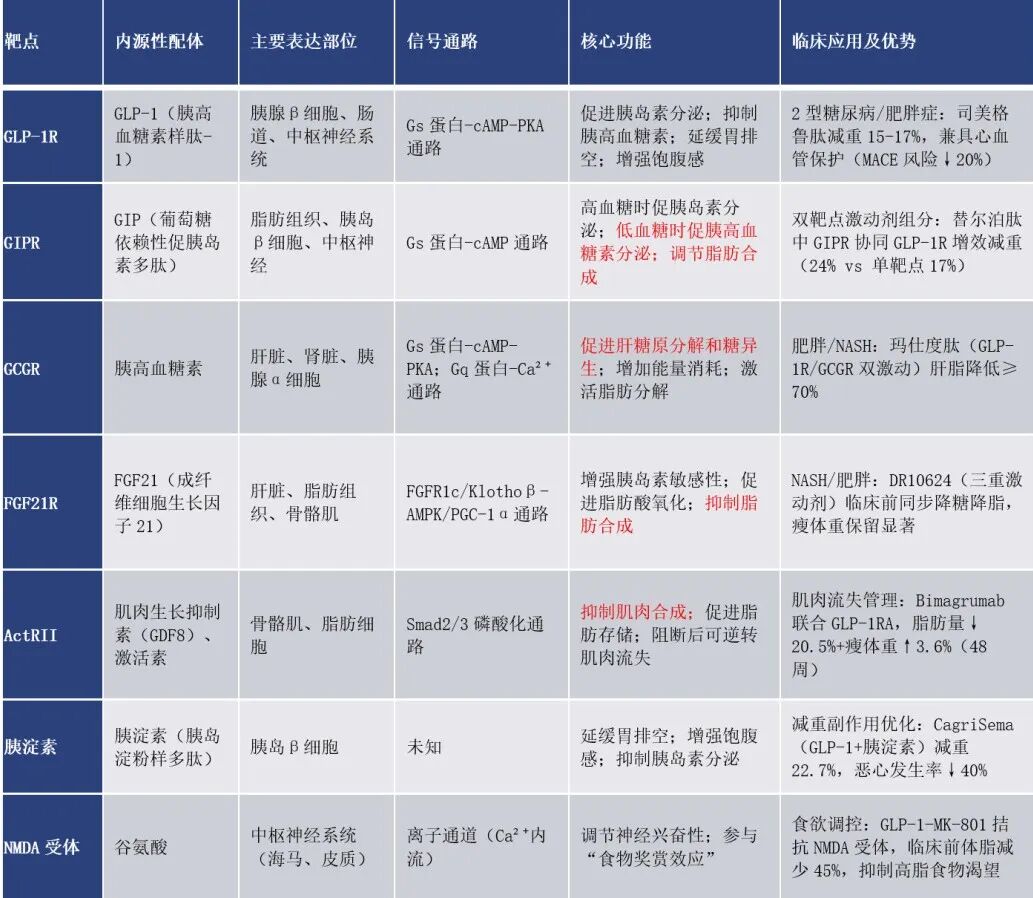 司美格鲁肽 vs 替尔泊肽：千亿GLP-1市场的双雄对决与迭代挑战 | 倚锋硬分享