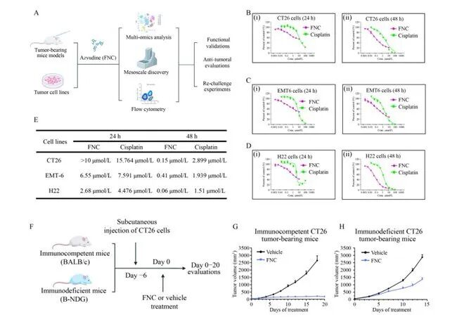 阿兹夫定联合PD-1疗效再获验证！肿瘤免疫治疗迎来重大突破 | 锋投动态