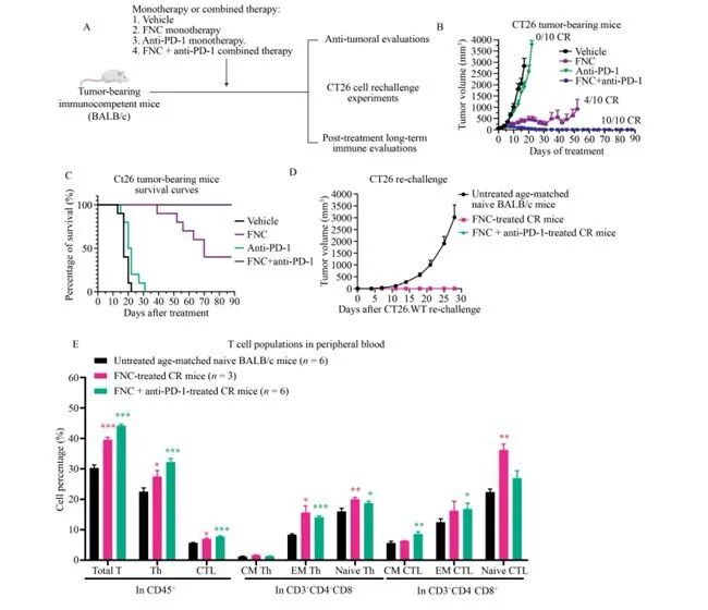 阿兹夫定联合PD-1疗效再获验证！肿瘤免疫治疗迎来重大突破 | 锋投动态