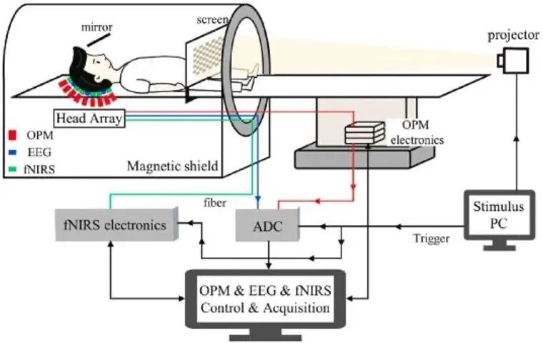 闭环神经调控：非侵入式脑机接口的进阶逻辑 | 倚锋硬分享