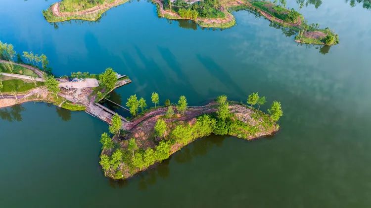 首批市级幸福河湖,新桥水库上榜!