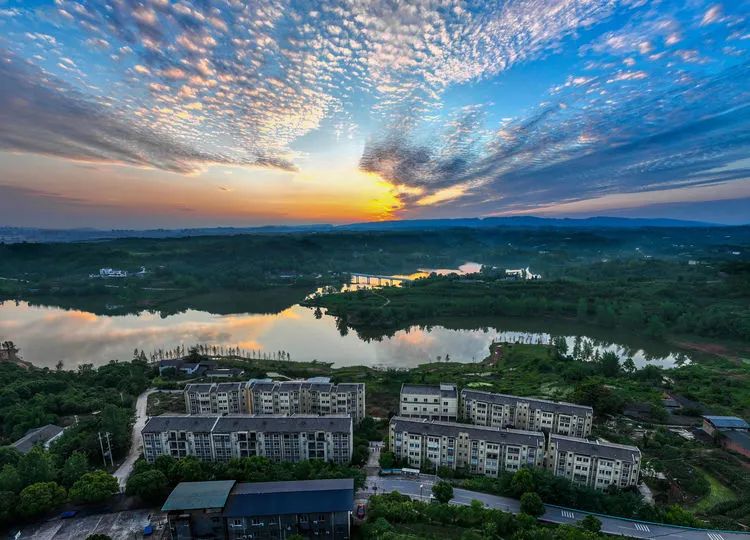 首批市级幸福河湖,新桥水库上榜!