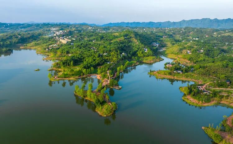 首批市级幸福河湖,新桥水库上榜!