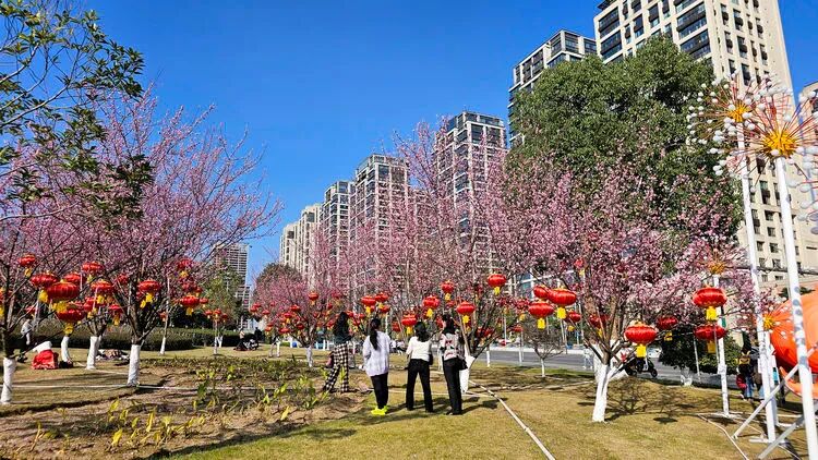 重庆渝北区:中央公园繁花盛开,点进来看看