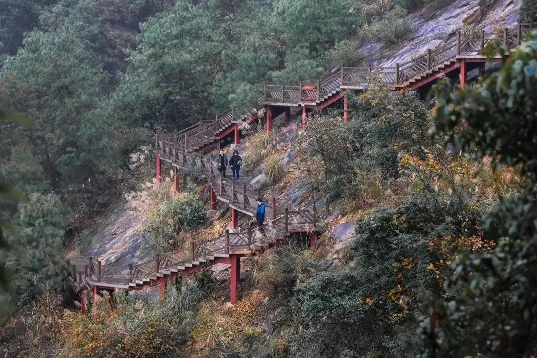 玉峰山森林公园重庆市渝北区玉峰村6社31号(近743县道)云龟山云龟山