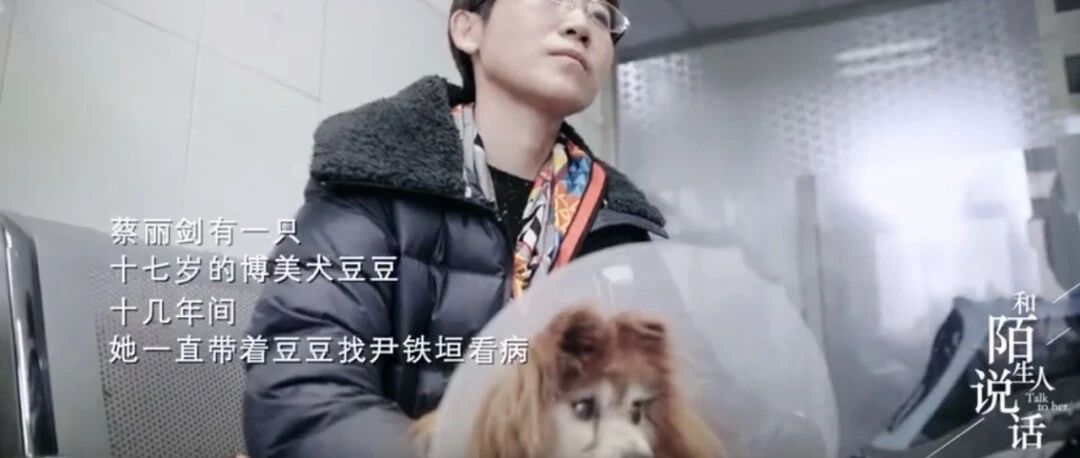 史上最“毒”铲屎官，怼哭所有人，人们却都抢着为他点赞！