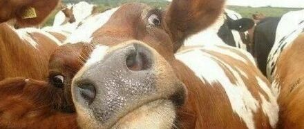 千万别随便答应当伴郎！要跳舞、要会口技、还差点把脸毁了？？