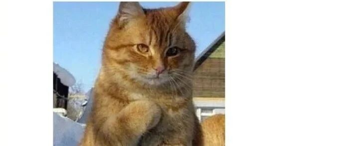 千万别主动联系小学同学，关于孩子的问题你真的解释不清......