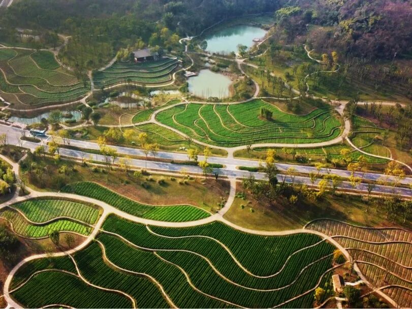 什么什么天成与共什么的【国学讲堂】天人合一 和谐共生_https://www.jmylbn.com_新闻资讯_第8张