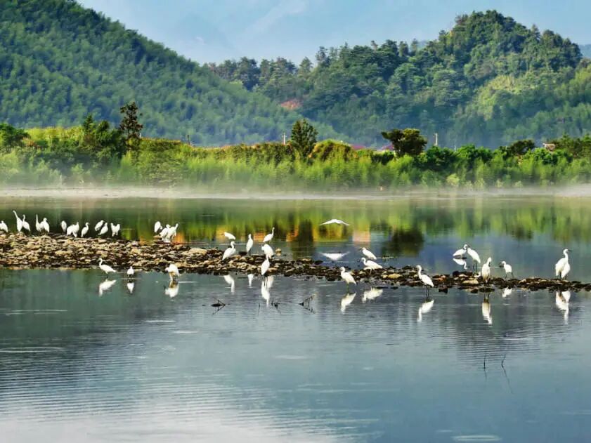 什么什么天成与共什么的【国学讲堂】天人合一 和谐共生_https://www.jmylbn.com_新闻资讯_第3张