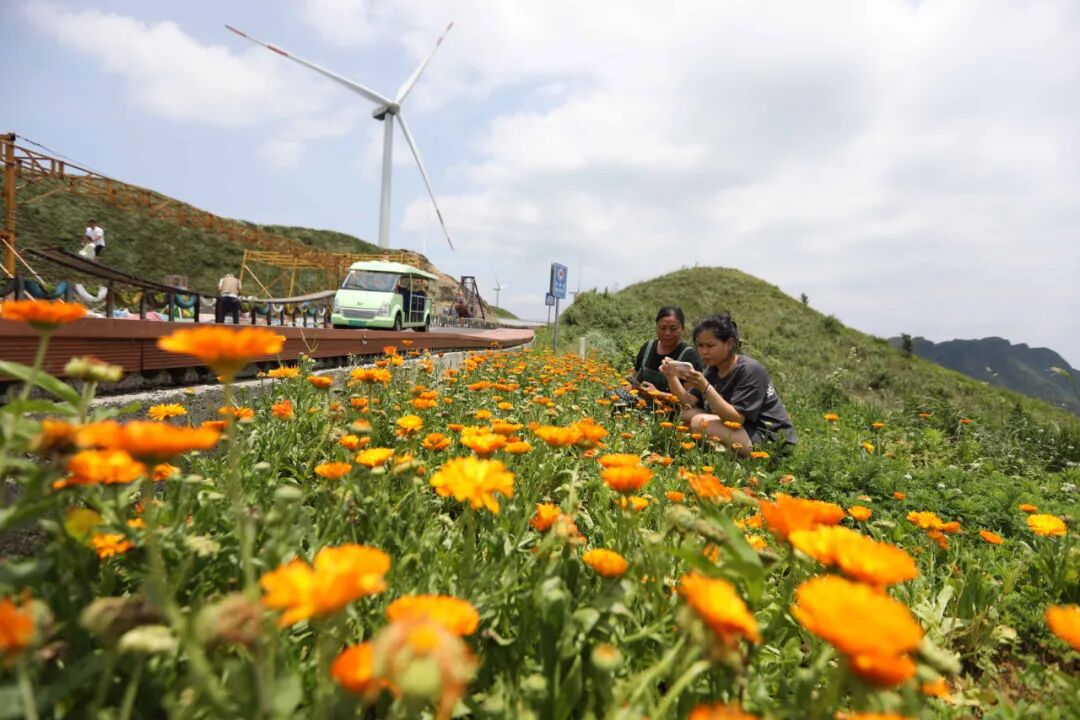 区块链数字货币概念股_探讨数字货币在农业领域的潜力：如何优化供应链与资源分配_区块链数字货币交易平台