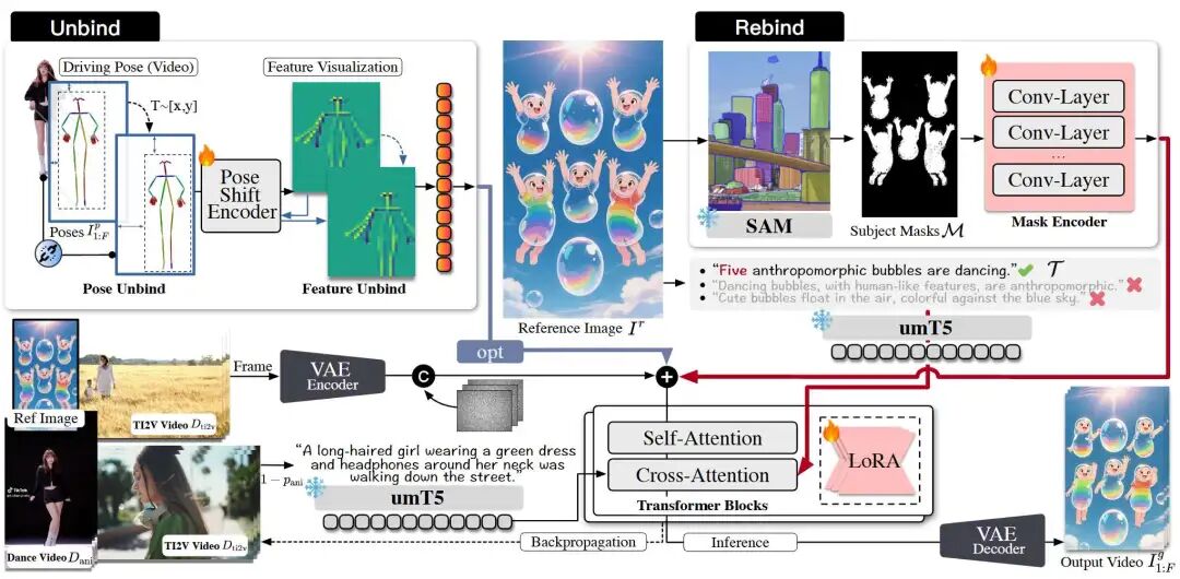 图3。CoDance流程