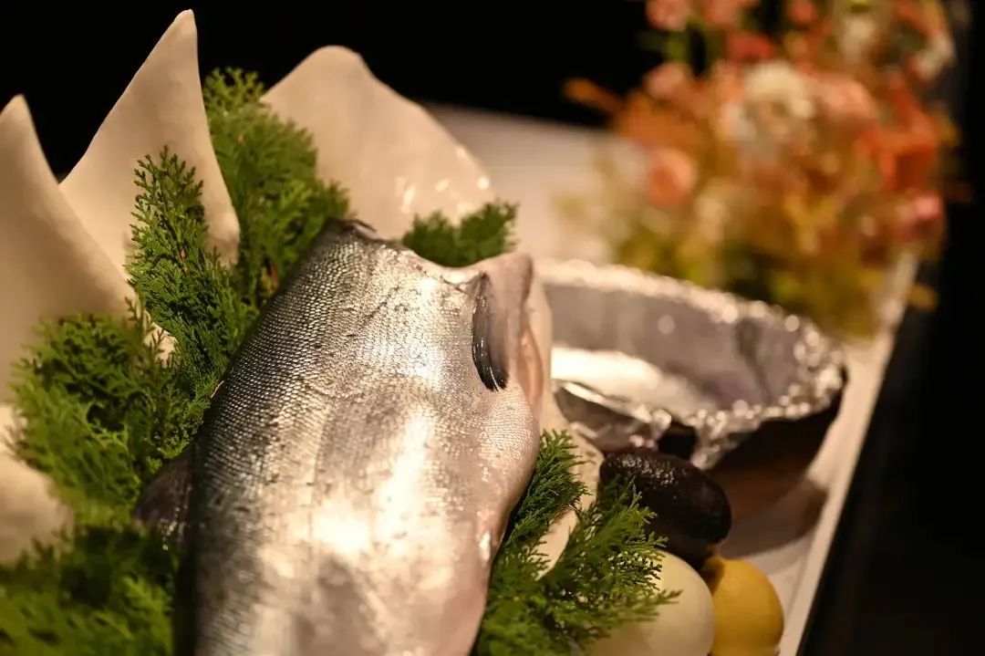 定了！全球最大的银鲑生产商—智利爱鲲将参展上海渔博会(图6)