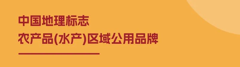 重磅推出！首届水产区域公用品牌大会解码行业趋势，邀您研讨未来！(图22)