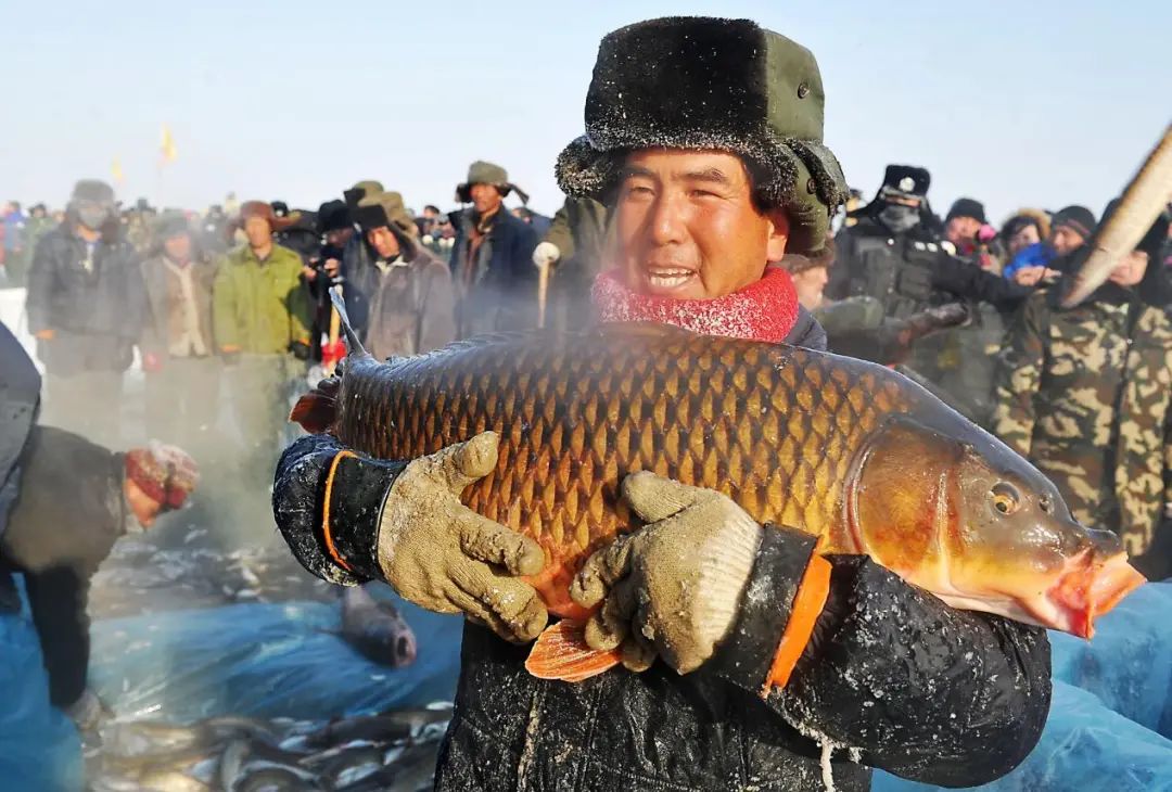 全国地理标志性水（海）产品推介会 | 福源福海特色地标水产推介会专场(图8)