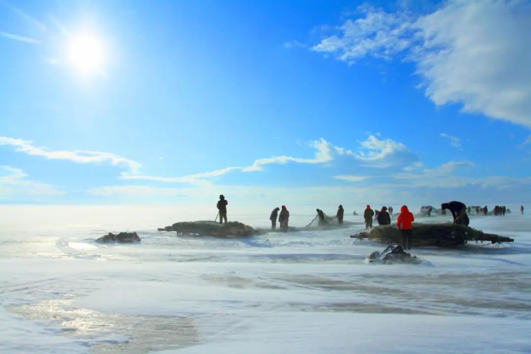 全国地理标志性水（海）产品推介会 | 福源福海特色地标水产推介会专场(图7)