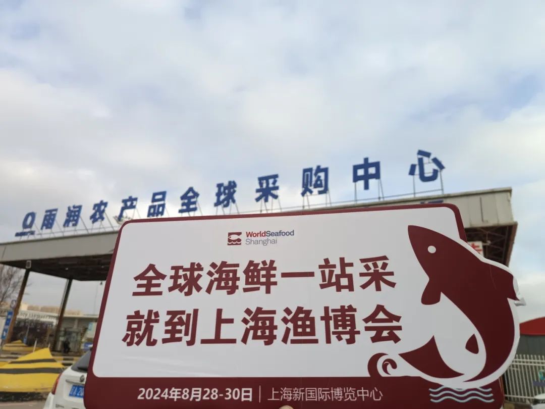 两季耕耘 桂月见 | 上海渔博会深入24+中心省市、30+水产市场一对一邀约 始终在前进(图48)