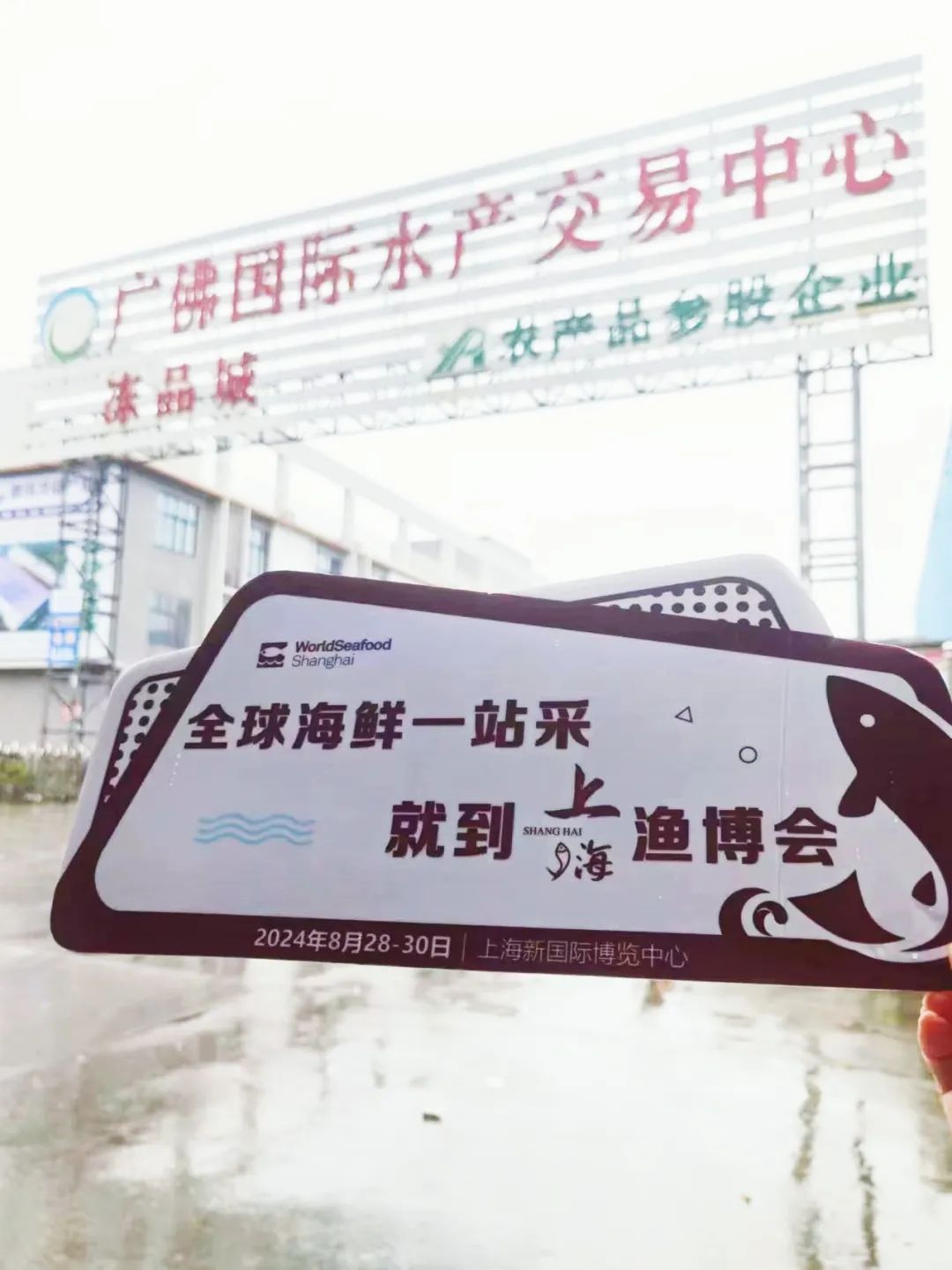 两季耕耘 桂月见 | 上海渔博会深入24+中心省市、30+水产市场一对一邀约 始终在前进(图34)