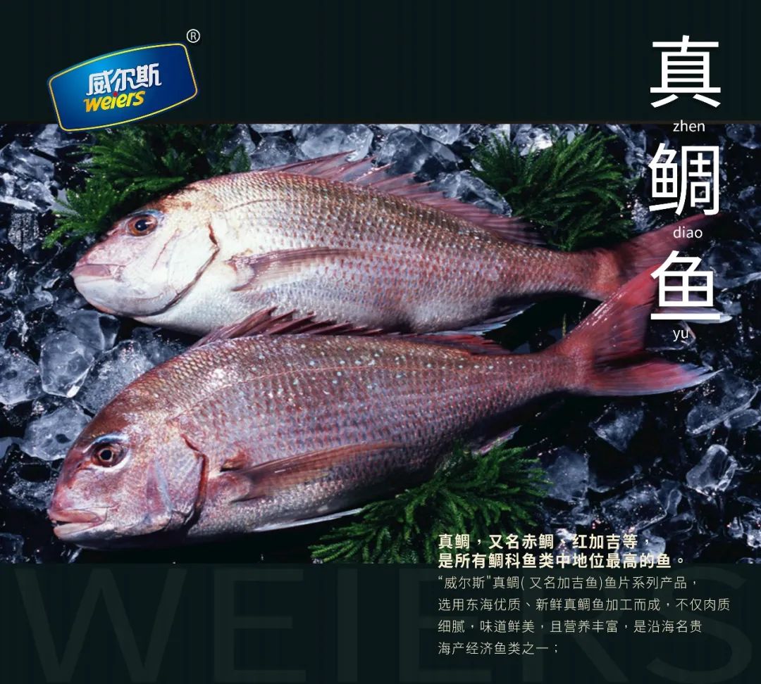 【优质展商】福建三都澳食品有限公司——海上天湖三都澳，水产精品威尔斯(图7)