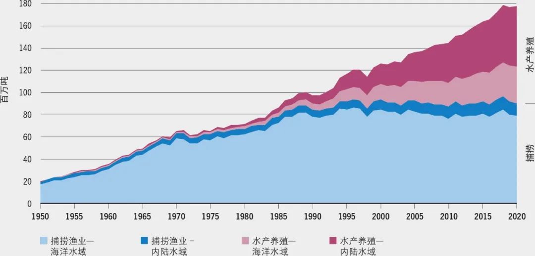 世界渔业和水产养殖概况(图2)