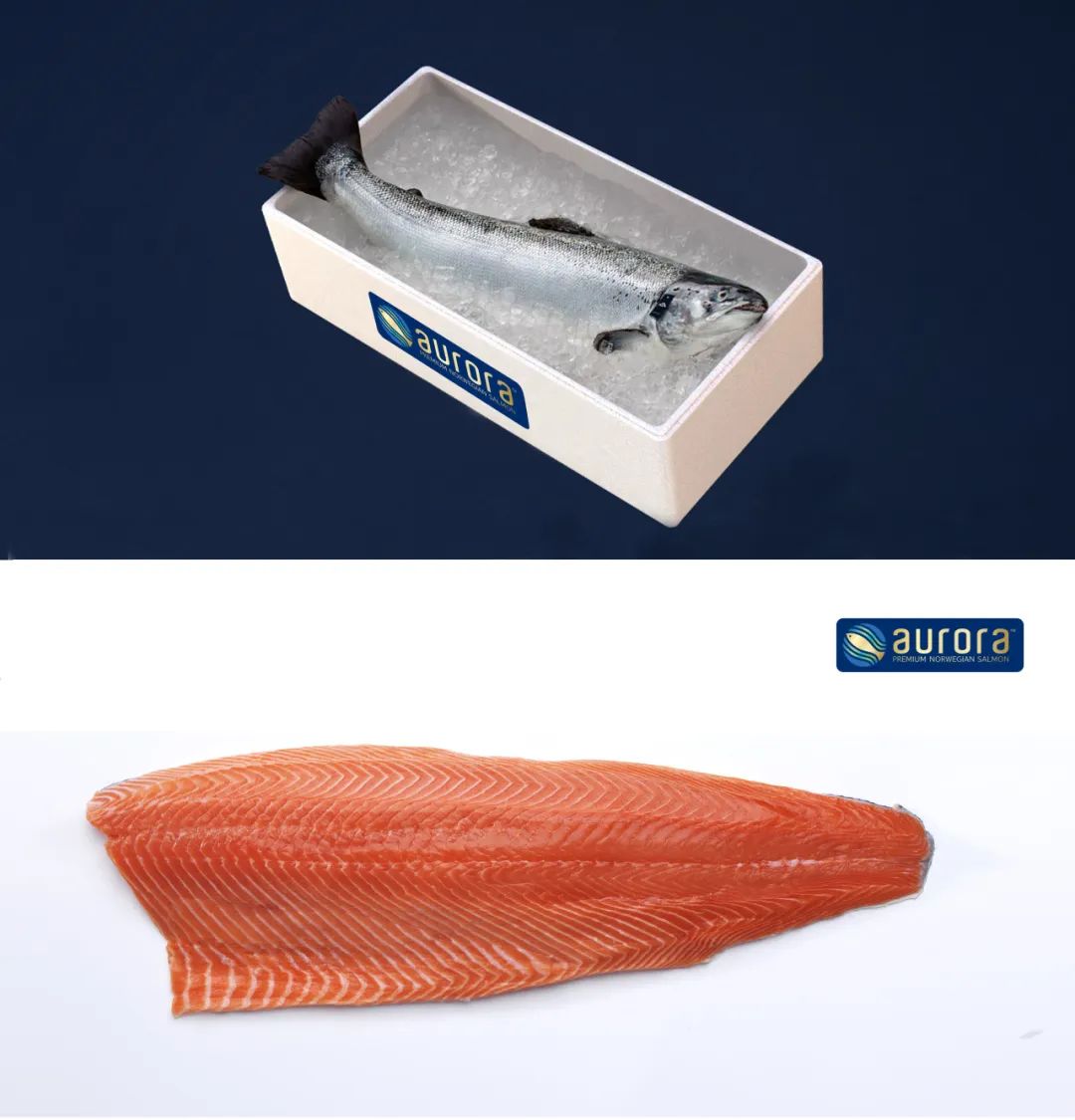 【优质展商】上海一网鲜供应链有限公司——一站式专业海鲜食材供应(图2)