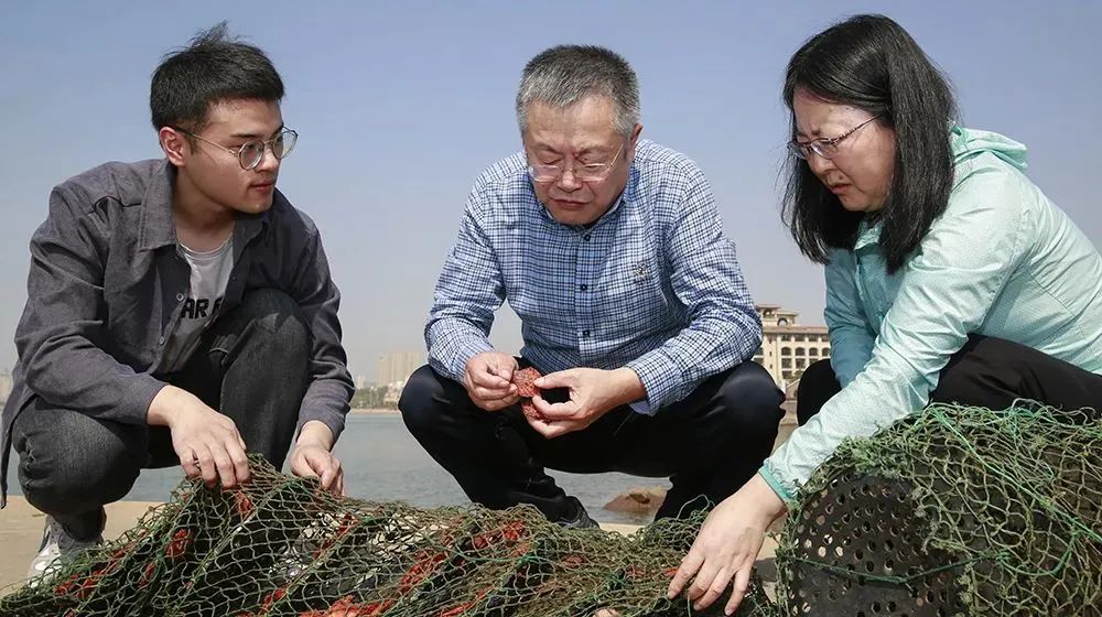    01卓识专家·风华掠影  包振民     Bao Zhenmin        包振民院士是海洋生命学院院长、博士生导师，国家自然科学基金委生命科学部专家咨询委员会委员、国务院学位委员会生物学科评议组成员、中国动物学会贝类分会副理事长、山东省科学技术协会第九届委员会副主席、山东省青年科学家协会主席。       长期从事海洋生物遗传学与育种的教学和科研工作。在扇贝种质资源、基因组学和发育进化(图10)