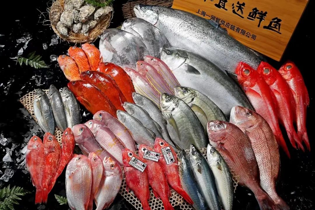 多家龙头企业已续约！上海渔博会持续扩充“朋友圈”，2024招商火热进行中......(图3)