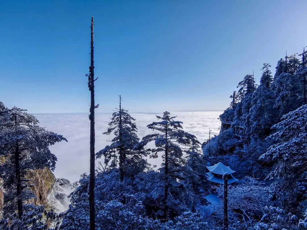 立冬刚过瓦屋山的初雪便如约而至今天你的朋友圈是不是也被初雪刷屏