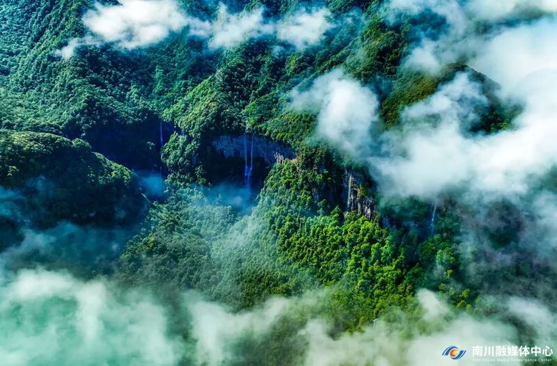 祝贺南川，“国家级”荣誉+1！