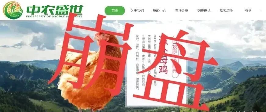 【曝光】3中旬77个崩盘跑路项目黑名单(图2)