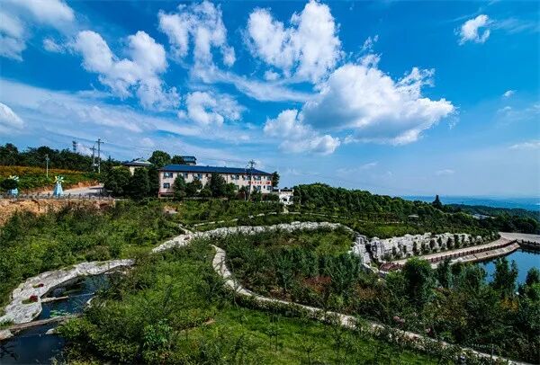 重庆:石门"清见"成熟啦!汁多味甜